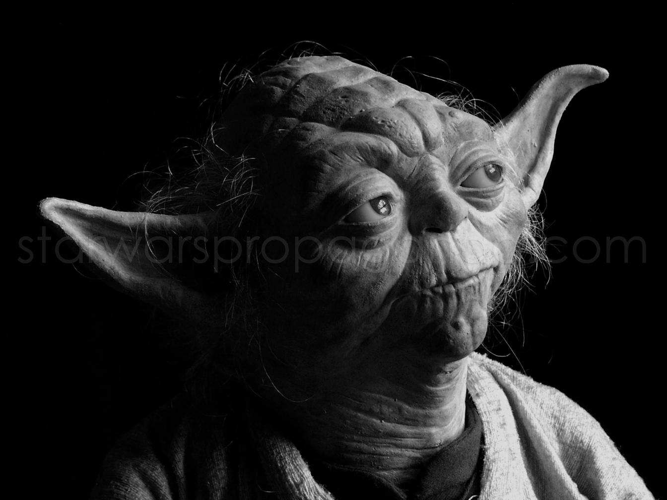 yoda7.jpg
