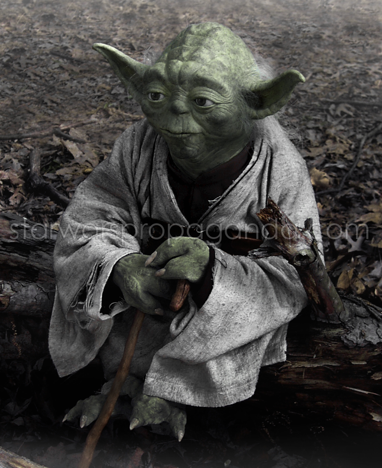 yoda_dag4.jpg