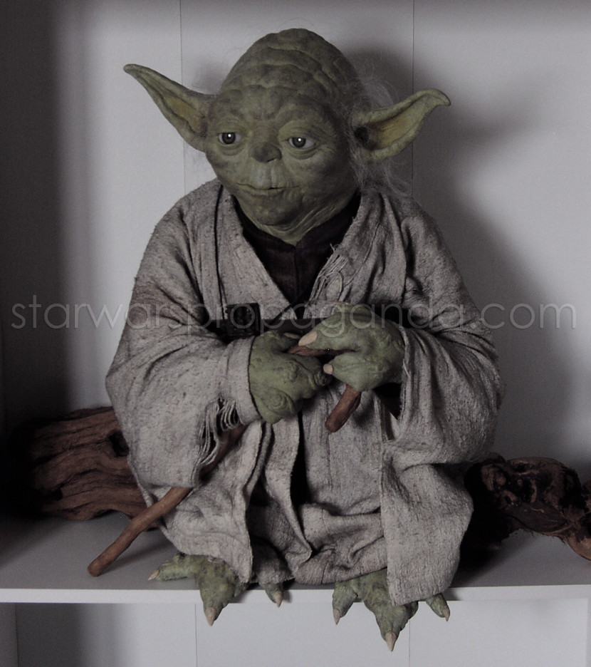 yoda_log1_sm.jpg