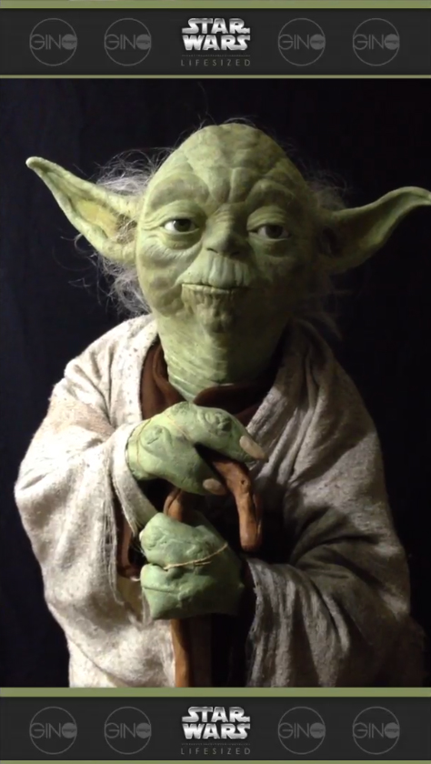 yoda_vidpic.jpg